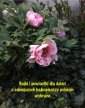 okłakda ebooka - Bajki i powiastki dla dzieci z