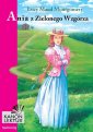okłakda ebooka - Ania z Zielonego Wzgórza