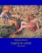 okłakda ebooka - Chata w lesie i inne baśnie