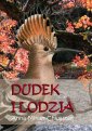 okłakda ebooka - Dudek i Lodzia