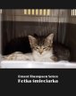 okłakda ebooka - Kotka śmieciarka