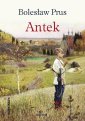 okłakda ebooka - Antek