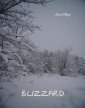 okłakda ebooka - Blizzard