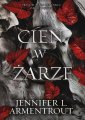 okłakda ebooka - Cień w żarze