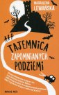 okłakda ebooka - Tajemnica zapomnianych podziemi