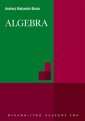 okłakda ebooka - Algebra
