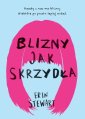 okłakda ebooka - Blizny jak skrzydła