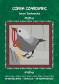 okłakda ebooka - Córka Czarownic Doroty Terakowskiej.