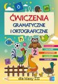 okłakda ebooka - Ćwiczenia gramatyczne i ortograficzne