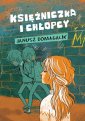 okłakda ebooka - Księżniczka i chłopcy