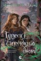 okłakda ebooka - Tajemnice cierniowego dworu