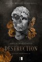okłakda ebooka - Trylogia zniszczenia 1 Destruction