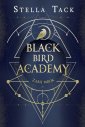 okłakda ebooka - Zabij mrok. Black Bird Academy.