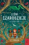 okładka książki - Leśni Czarodzieje W ciemny bór