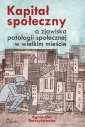 okłakda ebooka - Kapitał społeczny a zjawiska patologii