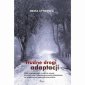 okłakda ebooka - Trudne drogi adaptacji. Wątki emancypacyjne