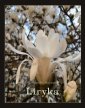 okłakda ebooka - Liryka