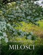okłakda ebooka - Pieśni mistycznej miłości