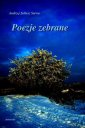 okłakda ebooka - Poezje zebrane