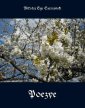 okłakda ebooka - Poezye