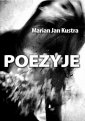 okłakda ebooka - Poezyje
