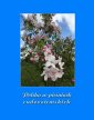 okłakda ebooka - Polska w pieśniach cudzoziemskich