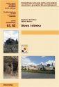 okłakda ebooka - Słowa i słówka. Podręcznik do nauki