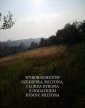 okłakda ebooka - Wybór sonetów poetów angielskich