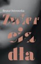 okłakda ebooka - Zwierciadła