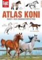 okładka książki - Atlas Koni. Rasy i ich charakterystyka