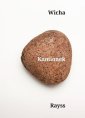 okładka książki - Kamionek