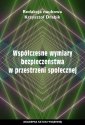 okłakda ebooka - Współczesne wymiary bezpieczeństwa