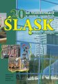 okłakda ebooka - 20 lat transformacji w aspekcie