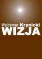 okłakda ebooka - Wizja