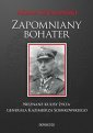 okłakda ebooka - Zapomniany bohater. Nieznane kulisy