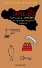 okładka książki - Karuzela pomyłek