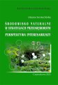 okłakda ebooka - Środowisko naturalne w strategiach