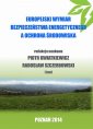 okłakda ebooka - Europejski wymiar bezpieczeństwa