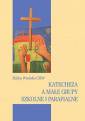 okładka książki - Katecheza a małe grupy szkolne