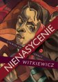 okłakda ebooka - Nienasycenie