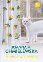 okłakda ebooka - Słońce w kieszeni