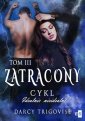 okłakda ebooka - Zatracony. Tom 3. Cykl Idealnie