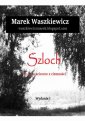 okłakda ebooka - Szloch