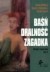 Baśń. Oralność. Zagadka. Studia - okładka książki