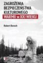 okładka książki - Zagrożenia bezpieczeństwa kulturowego