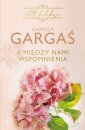 okłakda ebooka - A między nami wspomnienia