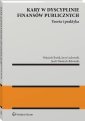 okłakda ebooka - Kary w dyscyplinie finansów publicznych