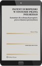 okłakda ebooka - Patent europejski w systemie prawa