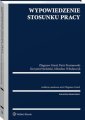 okłakda ebooka - Wypowiedzenie stosunku pracy