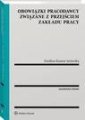 okłakda ebooka - Obowiązki pracodawcy związane z